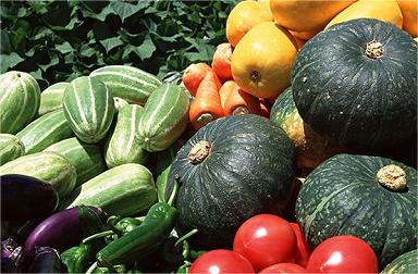 农产品质量安全追溯系统